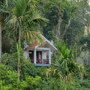  Homestay Dhanagiri Wayanad