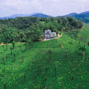  Resort Leaves Wayanad